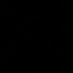 Meet your Posher, Shayla