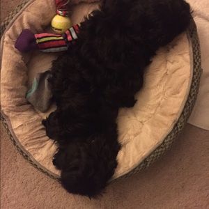 Meet your Posher, Kay