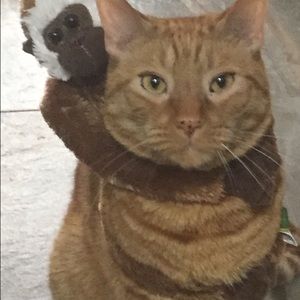 Meet your Posher, Nellya