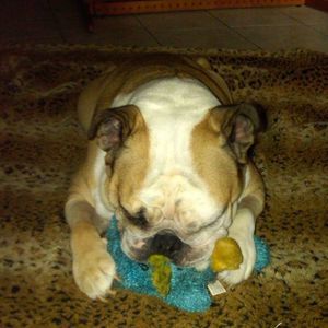 Meet your Posher, Anne