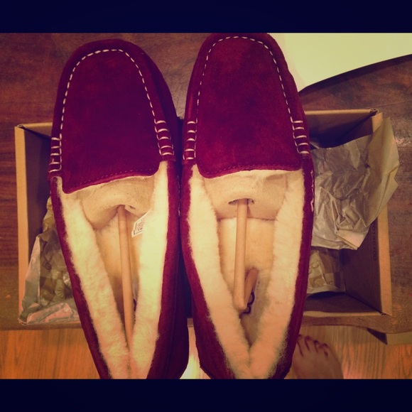 Ugg Slipper - image 1
