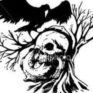 Meet your Posher, Andy