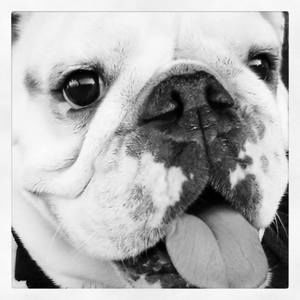 Meet your Posher, Erika