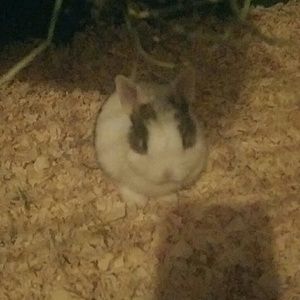 Meet your Posher, Gerardo