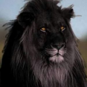 Meet your Posher, Byron