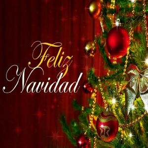 Meet your Posher, Kali