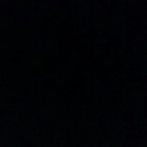 Meet your Posher, Gloria