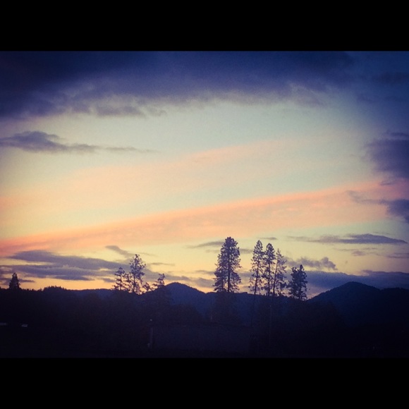 Meet your Posher, Emily - Picture 6 of 8