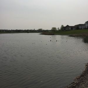 Meet your Posher, Ying