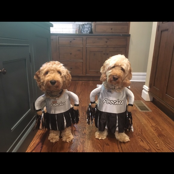 Meet your Posher - Picture 2 of 2