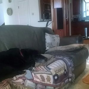 Meet your Posher, Laura