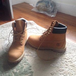 ✨BRAND NEW✨9.5 men's Timberland boots