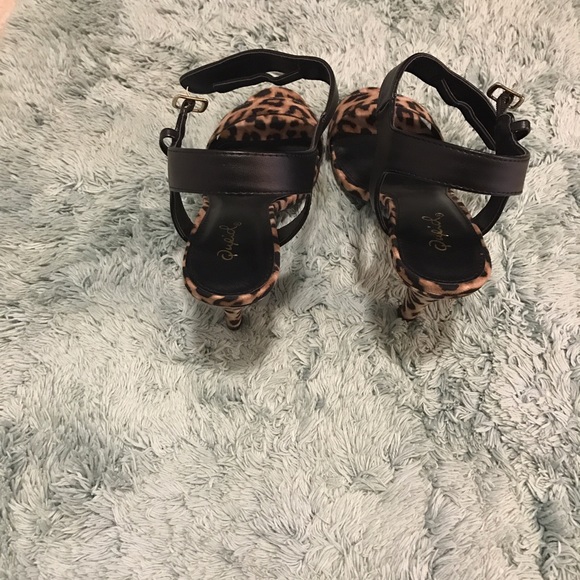 Tiger and black heels
