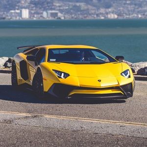 Meet your Posher, Henry