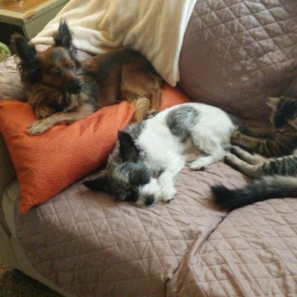 Meet your Posher, Susan