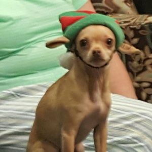 Meet your Posher, Karla