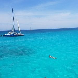 Meet your Posher, Robin