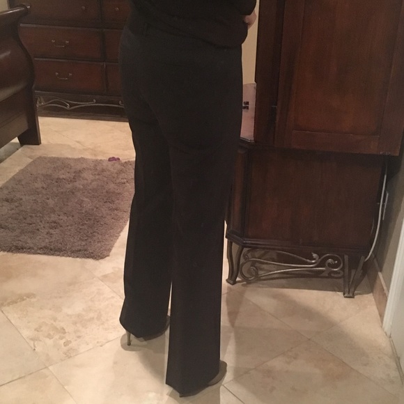 Ann Taylor chocolate lined pants