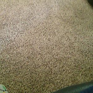 Meet your Posher, Amalia