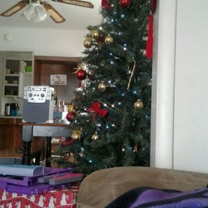 Meet your Posher, Jamey