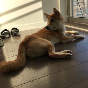 Meet your Posher, Christine