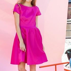 Bright Pink A-Line Dress (Shabby Apple)
