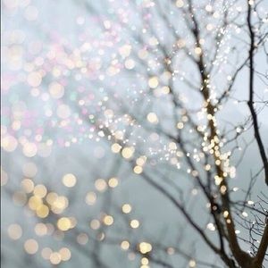 Meet your Posher, Fareena