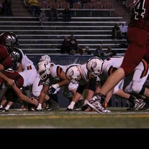 Meet your Posher, Will