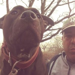 Meet your Posher, Julio