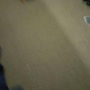 Meet your Posher, Ginger