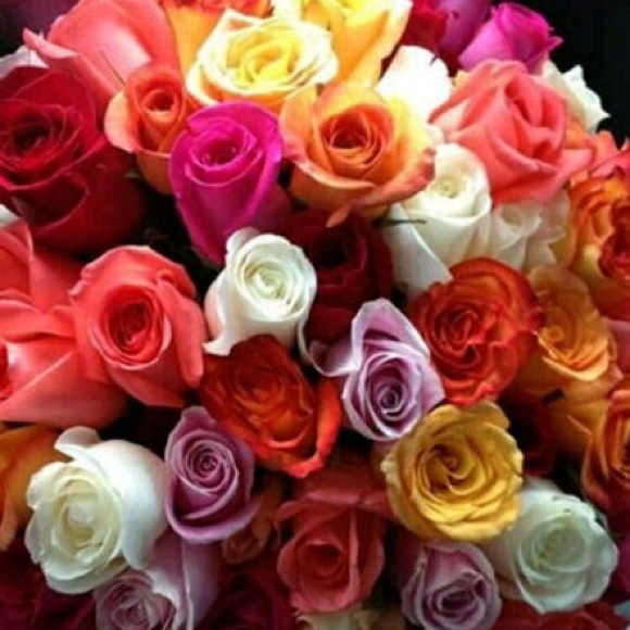 Meet your Posher, Manal