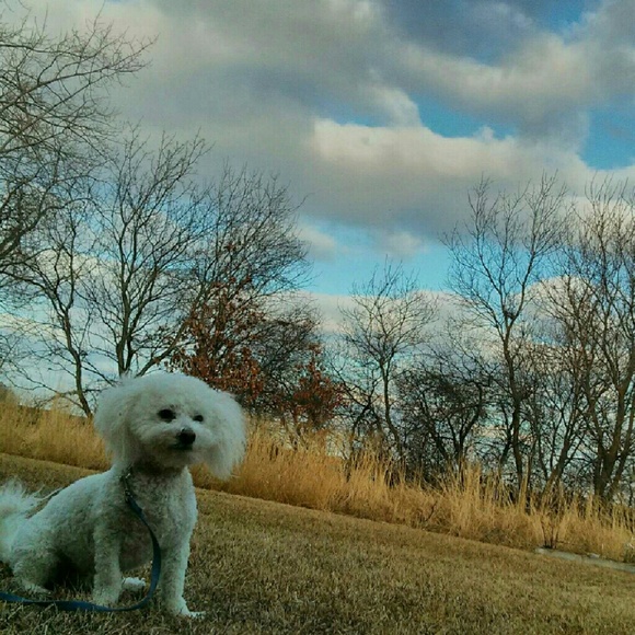 Meet your Posher, Gina - Picture 2 of 2