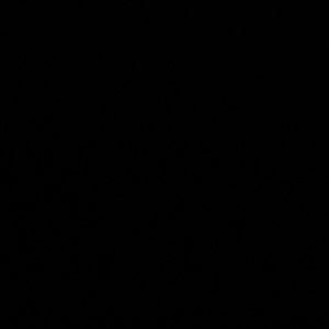 Meet your Posher, Pierce