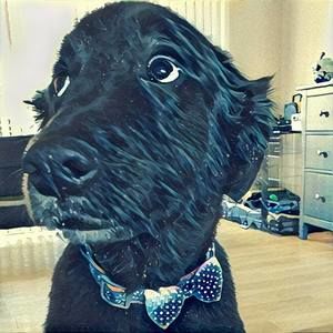 Meet your Posher, Caroline