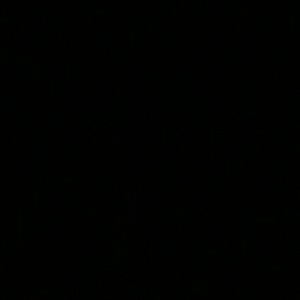 Meet your Posher, Chasity