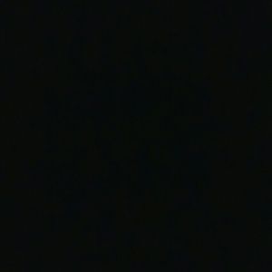 Meet your Posher, Billy