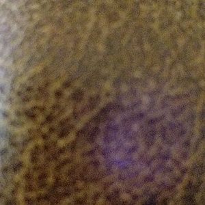 Meet your Posher, Jack