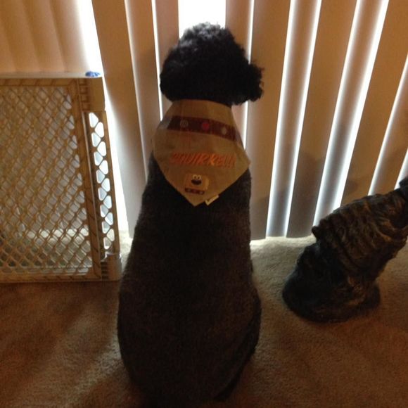 Meet your Posher, Natalie - Picture 1 of 1