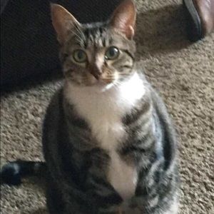 Meet your Posher, Gunnar