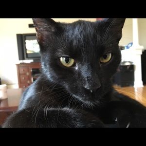 Meet your Posher, Anthony