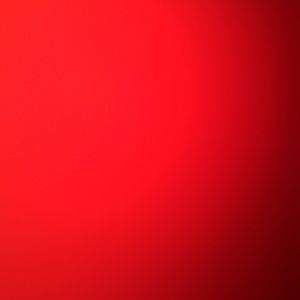 Meet your Posher, Selma