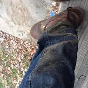 Meet your Posher, Herbert