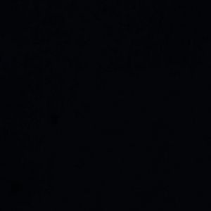 Meet your Posher, Lee