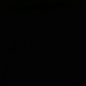 Meet your Posher, Davo