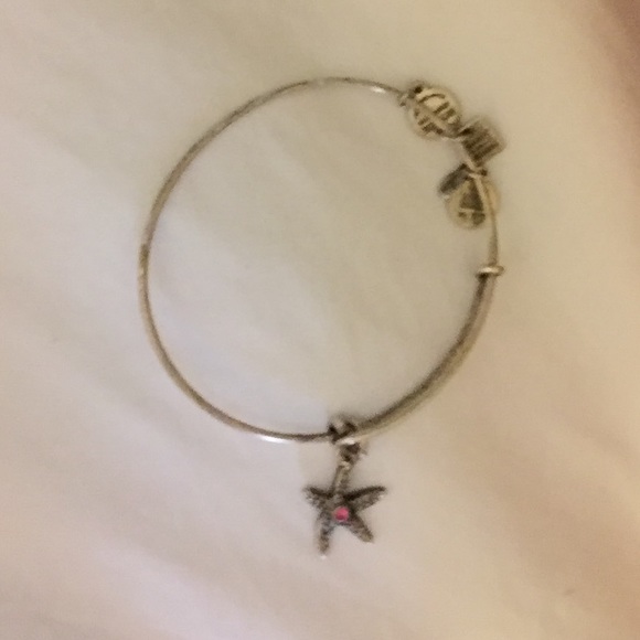 Alex and Ani Arms of Strength awareness bracelet