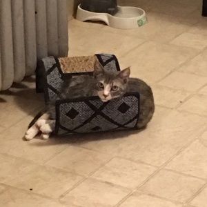 Meet your Posher, Rebecca