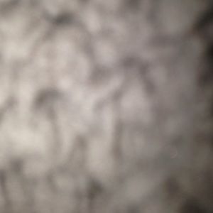 Meet your Posher, Katlyn