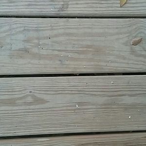 Meet your Posher, Josh