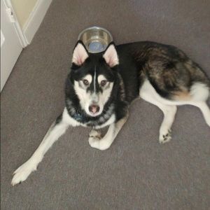 Meet your Posher, Levertt