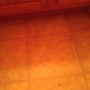 Meet your Posher, Bradley